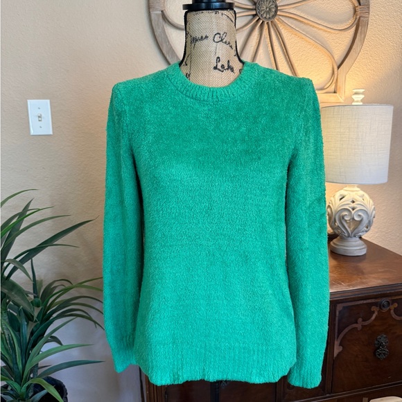 Style & Co. Sweaters - Style & Co. Kelly Green Chenille Women's Sweater